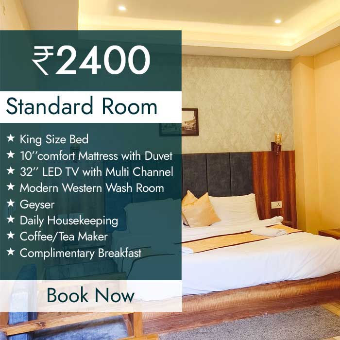 standard-rooms